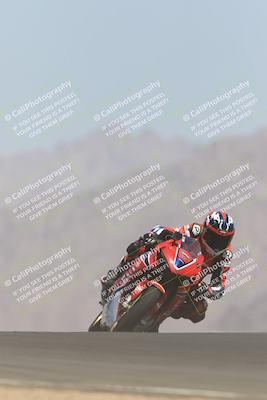 media/May-13-2023-SoCal Trackdays (Sat) [[8a473a8fd1]]/Turn 9 (11am)/